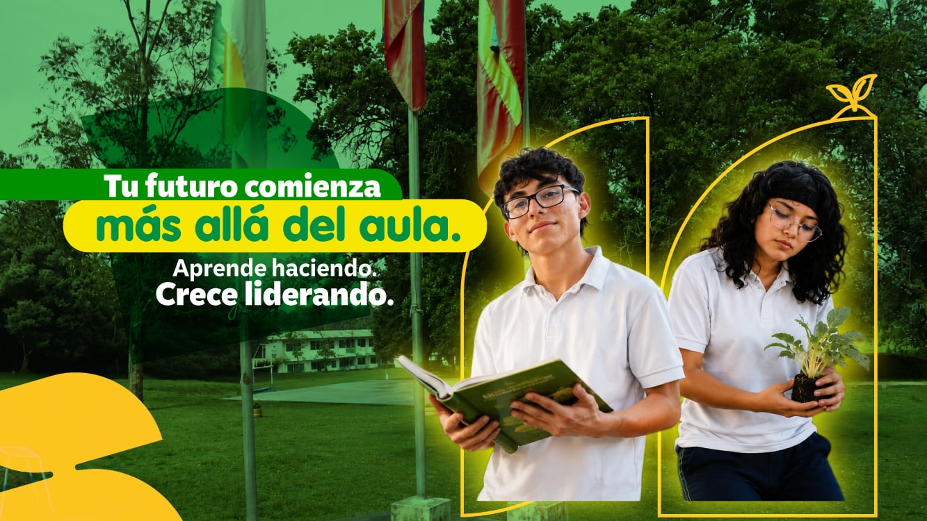 BANNER banner facebook